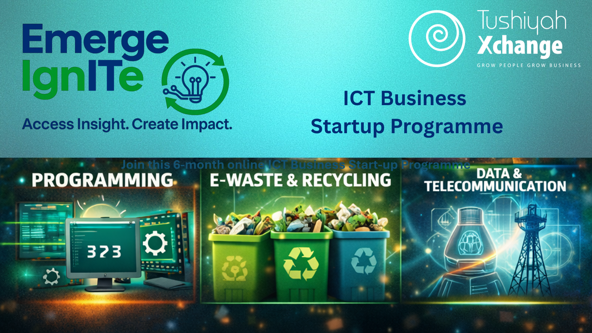 Emerge IgnITe Programme